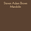 Steven Brown: Mandolinist